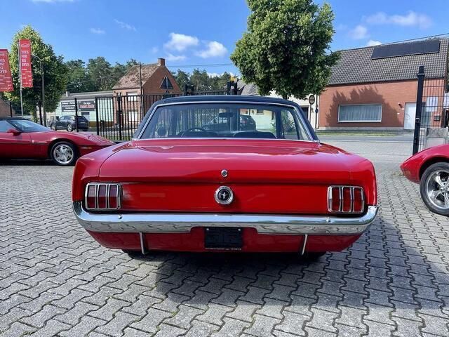 Occasion Ford Mustang 224 PK (164 kW) 1965 Rood Coupé