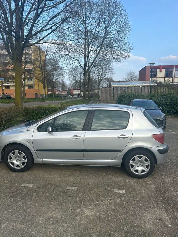 Grijs Gebruikt 2002 Peugeot 307 Hatchback | € 1.000 (Eerlijke prijs) - Afbeelding 1/4