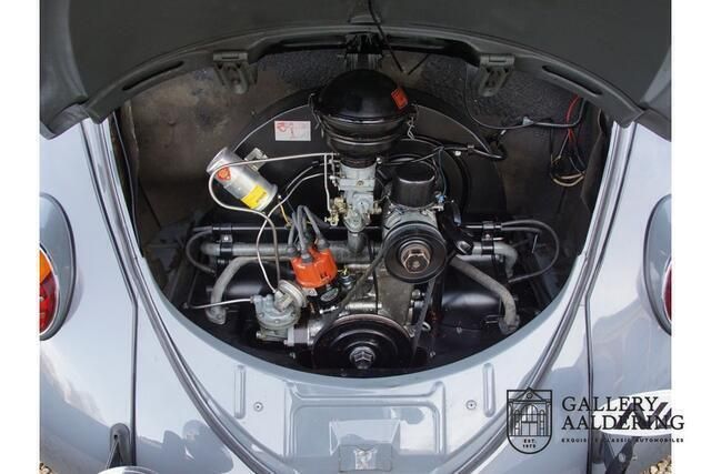 Occasion VW Beetle 1955 Grijs