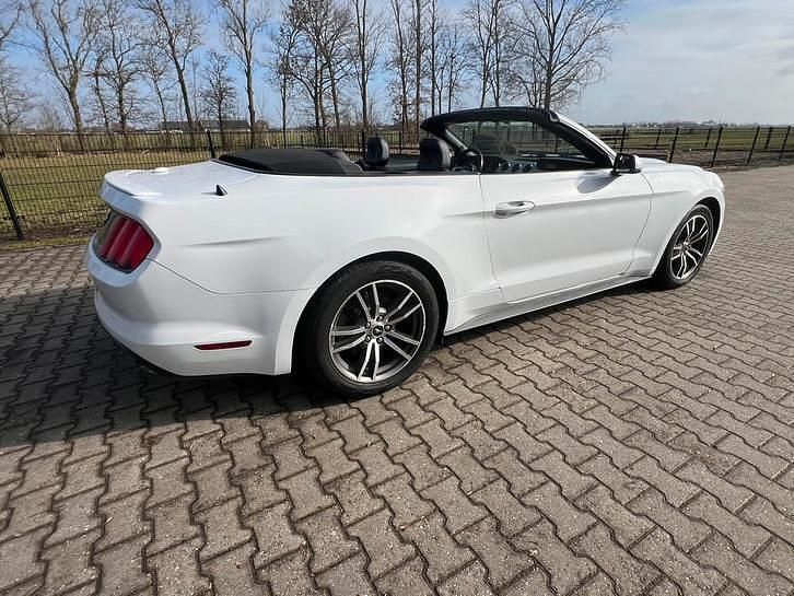 Occasion Ford Mustang 330 PK (242 kW) 2015 Cabriolet