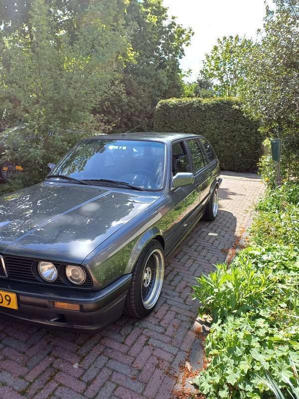 Afbeelding 3
