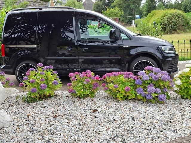 Occasion VW Caddy Highline 179 PK (131 kW) 2017 Zwart MPV