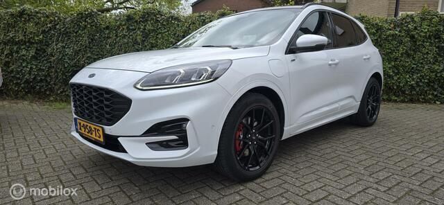 Wit Gebruikt 2020 Ford Kuga ST-Line X SUV | € 24.500 (Eerlijke prijs) - Afbeelding 1/4