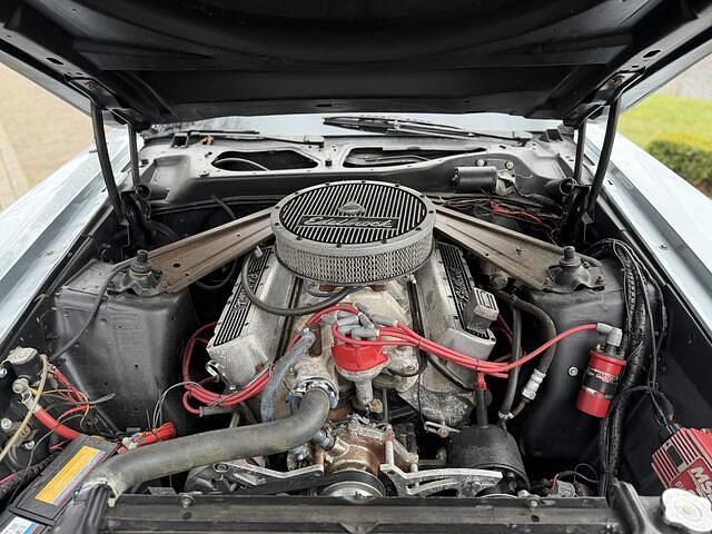 Occasion Ford Mustang Sport 286 PK (210 kW) 1972 Grijs Cabriolet