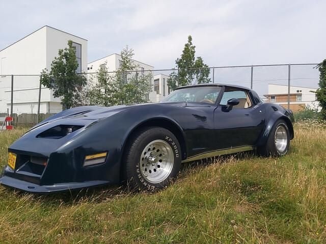 Groen Gebruikt 1979 Chevrolet Corvette Coupé | € 18.950 - Afbeelding 1/4