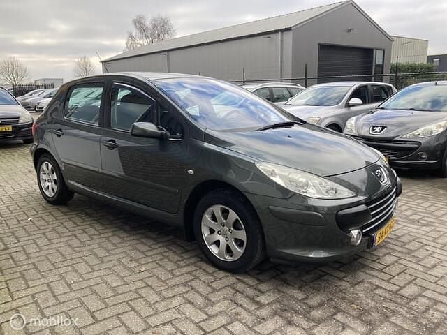 Occasion Peugeot 307 Premium 109 PK (80 kW) 2007 Grijs Hatchback