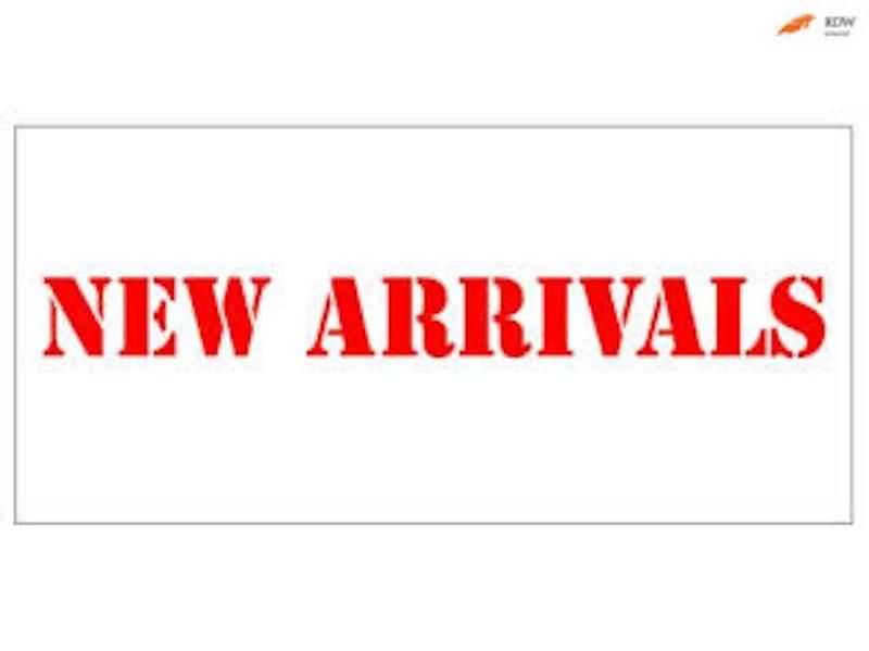 Zwart Gebruikt 2002 Renault Clio II Dynamique Hatchback | € 875 (Eerlijke prijs) - Afbeelding 1/1