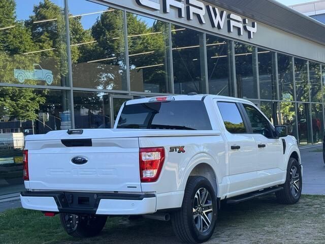 Occasion Ford F-150 STX 407 PK (299 kW) 2024 Wit Pickup