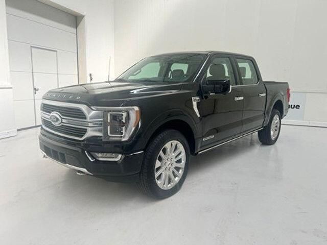 Zwart Nieuw 2024 Ford F-150 Limited Pickup | € 90.750 - Afbeelding 1/4