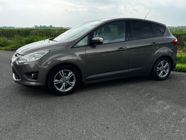 Occasion Ford C-MAX 125 PK (91 kW) 2014 Bruin MPV