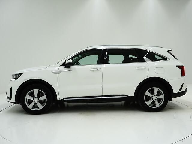 Occasion Kia Sorento 265 PK (194 kW) 2021 Wit (metallic) SUV