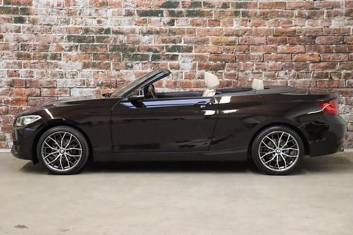 Occasion BMW 218 Executive 136 PK (100 kW) 2016 Bruin (metallic) Cabriolet
