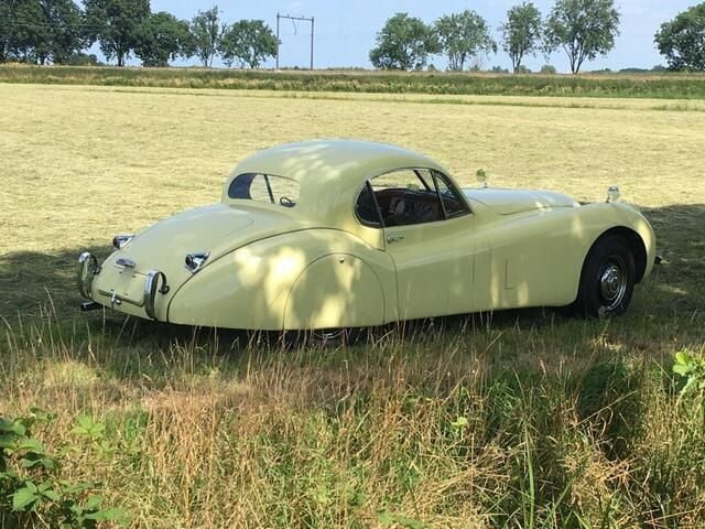 Occasion Jaguar XK 1952 Geel Coupé