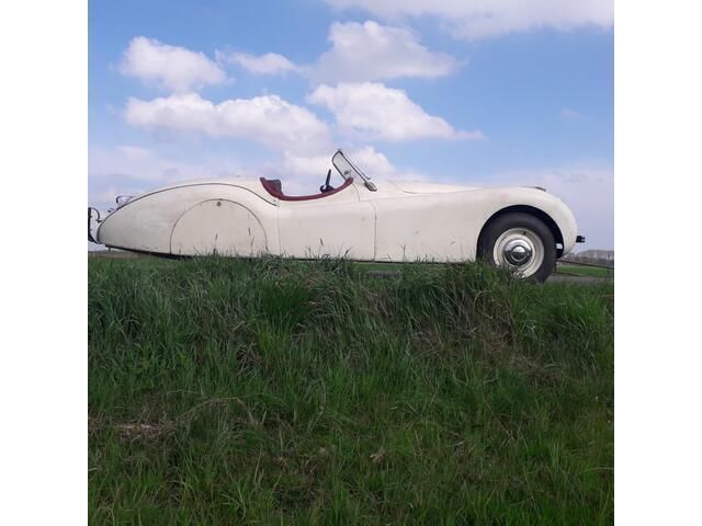 Occasion Jaguar XK 1950 Wit Cabriolet