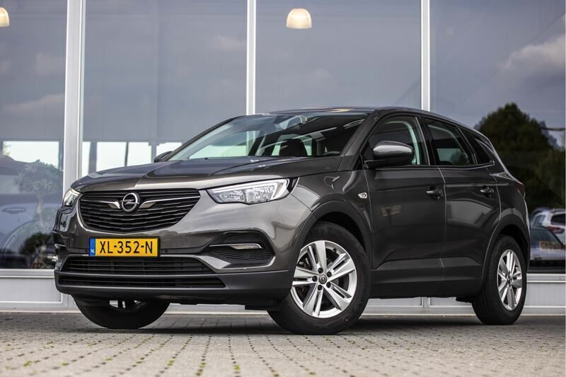 Grijs Gebruikt 2019 Opel Grandland X Edition SUV | € 17.950 (Eerlijke prijs) - Afbeelding 1/4
