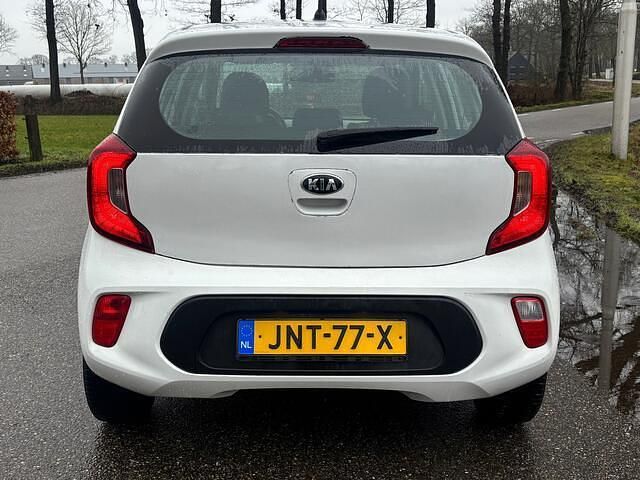 Occasion Kia Picanto 67 PK (49 kW) 2020 Wit Hatchback