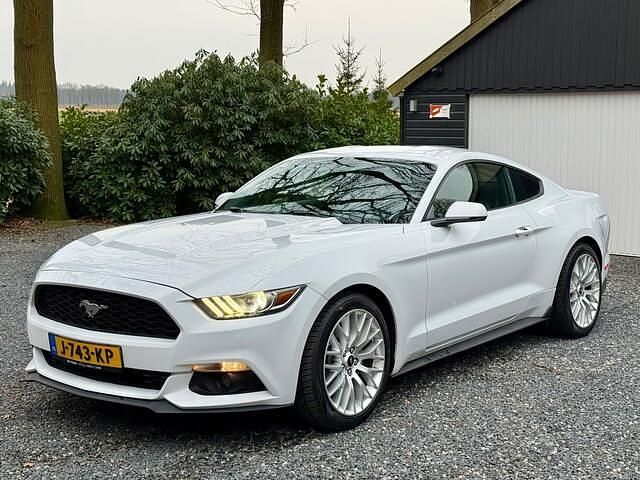 Occasion Ford Mustang Performance Edition 315 PK (231 kW) 2015 Wit Coupé