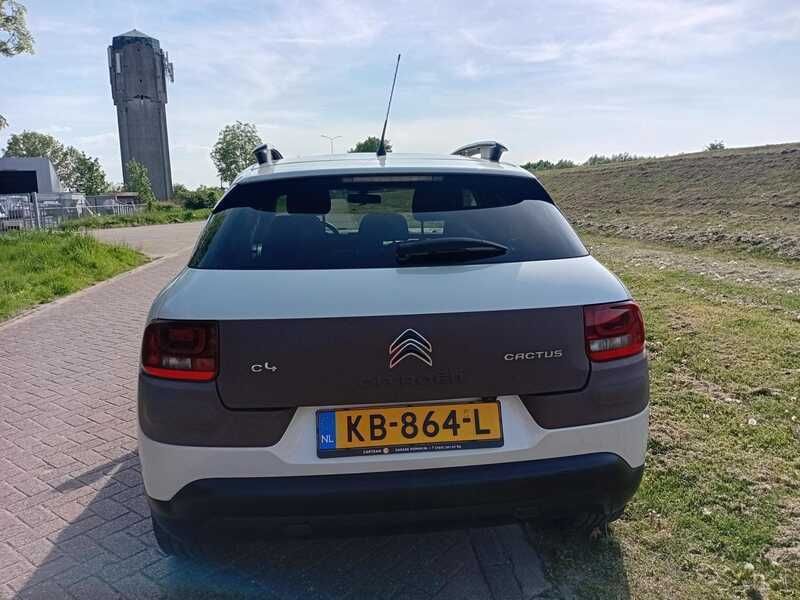 Afbeelding 4