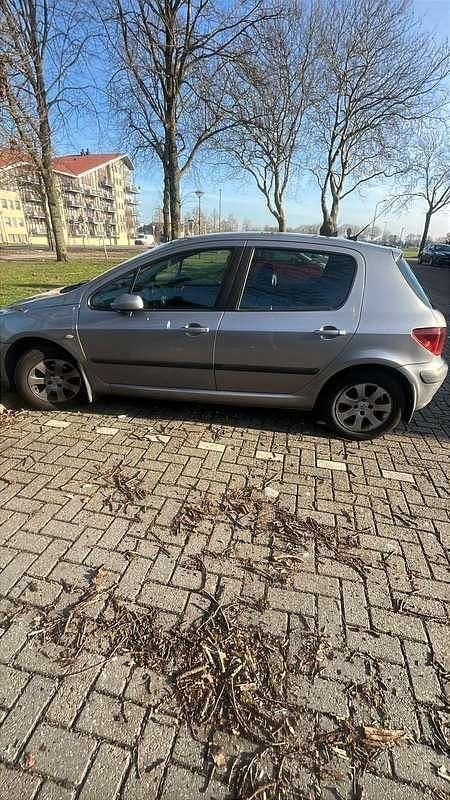Occasion Peugeot 307 109 PK (80 kW) 2003 Grijs Hatchback