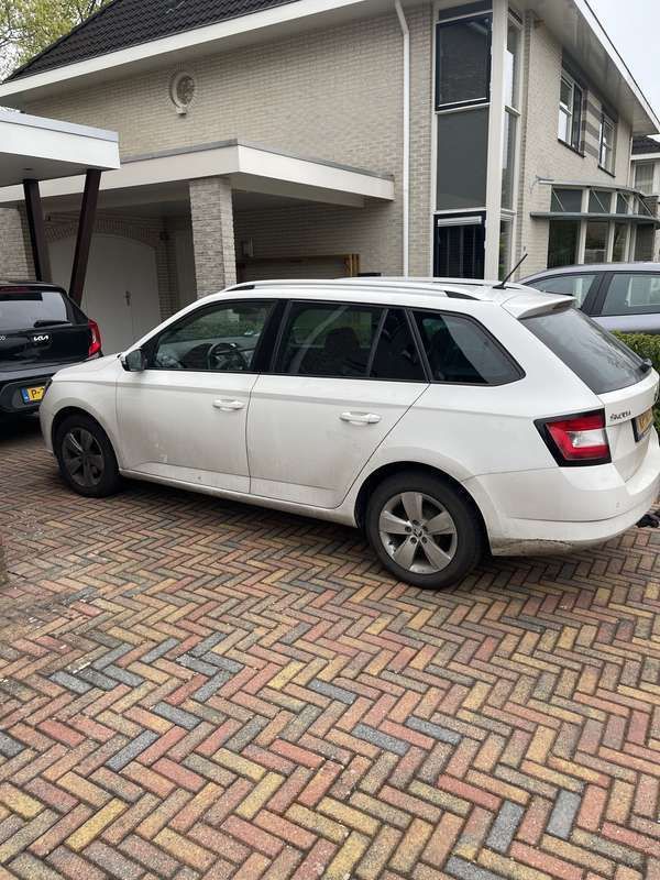 Afbeelding 3