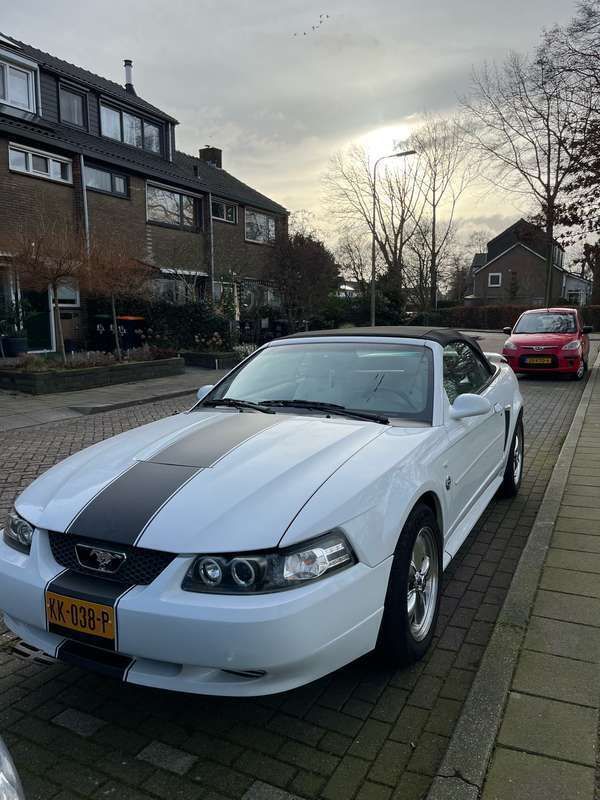 Wit Gebruikt 2004 Ford Mustang Convertible Cabriolet | € 11.000 - Afbeelding 1/4