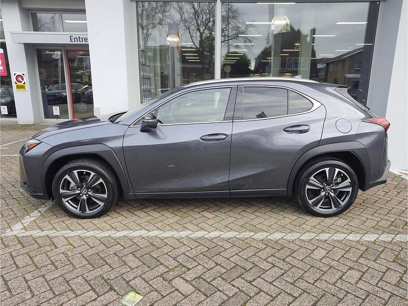 Occasion Lexus UX 250h Luxury Line 184 PK (135 kW) 2023 Grijs SUV
