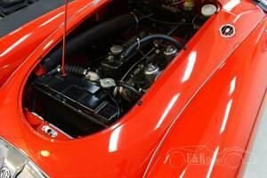 Occasion MG 1600 1962 Roodrood Cabriolet