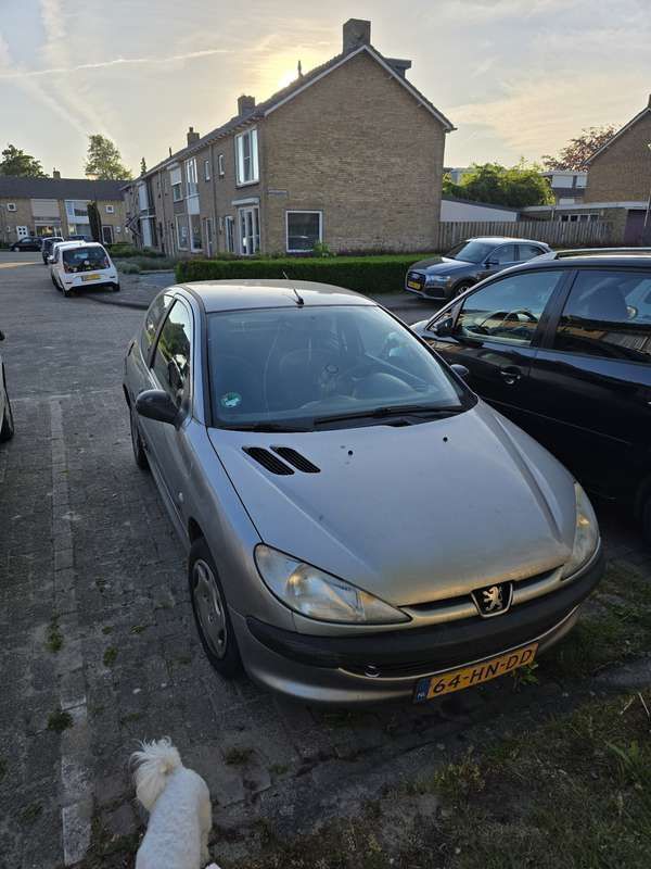 Afbeelding 2