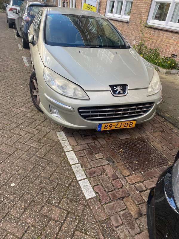 Afbeelding 1