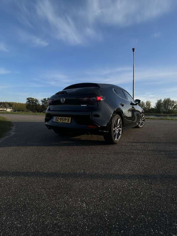 Afbeelding 3