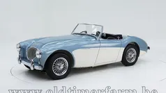 Gebruikt 1954 Austin Healey 100 Cabriolet | € 78.000