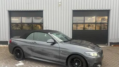 Occasion BMW 220 Executive 184 PK (135 kW) 2019 Grijs Cabriolet