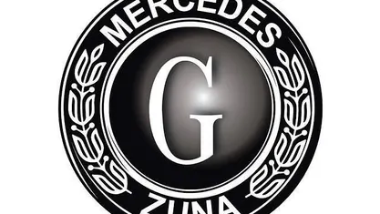 Occasion Mercedes 300 177 PK (130 kW) 1980