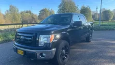 Gebruikt 2009 Ford F-150 XLT Pickup | € 9.995