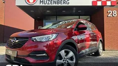 Gebruikt 2021 Opel Grandland X Business Edition SUV | € 19.445 (Super prijs)