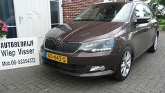 Bruin Gebruikt 2017 Skoda Fabia Joy Stationwagen | € 9.995 (Eerlijke prijs)