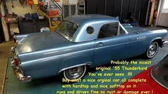 Gebruikt 1955 Ford Thunderbird | € 29.500