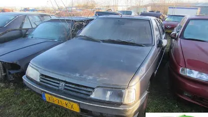 Occasion 1989 Peugeot 405 Sedan | € 1.750