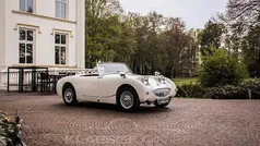 Gebruikt 1960 Austin Healey Frogeye | € 25.950