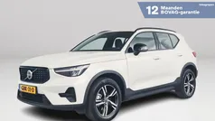 Wit Gebruikt 2024 Volvo XC40 Plus SUV | € 45.995 (Eerlijke prijs)