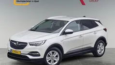 Gebruikt 2019 Opel Grandland X Business SUV | € 14.945 (Eerlijke prijs)