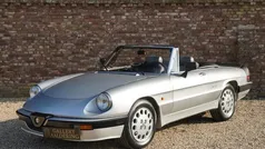 Gebruikt 1987 Alfa Romeo Spider Quadrifoglio Verde Cabriolet | € 28.500