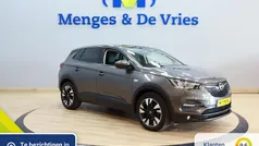 Gebruikt 2020 Opel Grandland X Innovation SUV | € 19.190 (Eerlijke prijs)