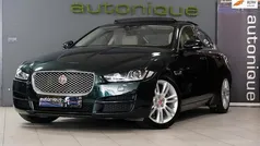 Groen Gebruikt 2015 Jaguar XE Portfolio Sedan | € 17.895 (Eerlijke prijs)