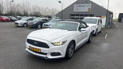 Occasion Ford Mustang Convertible 317 PK (233 kW) 2017 Wit Cabriolet