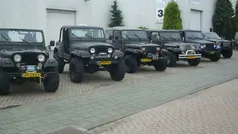 Gebruikt 2001 Jeep Wrangler SUV | € 11.900