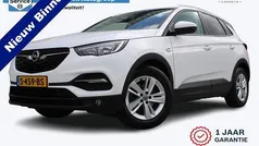 Gebruikt 2019 Opel Grandland X Edition SUV | € 14.450 (Eerlijke prijs)