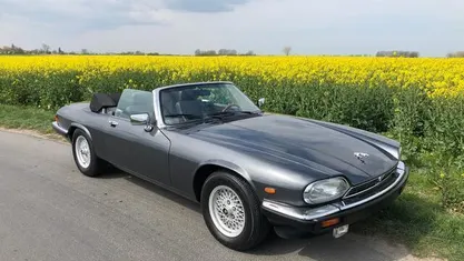 Occasion Jaguar XJS S 295 PK (216 kW) 1990 Cabriolet