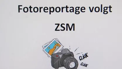 Occasion Ford Kuga ST-Line X 224 PK (164 kW) 2020 SUV