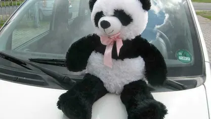 Occasion Fiat Panda Dynamic 60 PK (44 kW) 2007 Hatchback